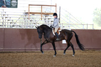 Class 131 - HA Hunter Pl/Jr Horse