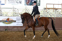 Class 134 - Arabian Hunter Pl/AAOTR 50 Yrs/Over