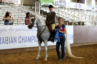 Class 137 - Arabian Hunter Pl/JTR Select