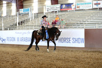 Class 141 - Arabian Western Pl/Mares & Stallions
