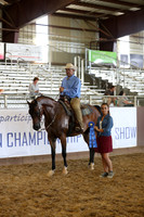 Class 138 - Arabian Western Pl/Geldings