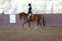 Class 149 - AHA Hunter Seat Equitation Not to Jump Medal/JTR 18 Yrs/Under