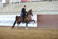 Class 195 - HA Park Horse/Open