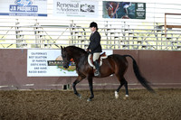 Class 152 - Arabian Hunter Pl/AATR Select