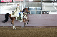 Class 150 - Arabian Mounted Native Costume/ATR