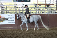 Class 159 - Arabian Hunter Pl/AAOTR 19 Yrs/Over