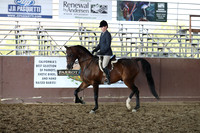 Class 160 - HA Hunter Pl/AAOTR 19 Yrs/Over