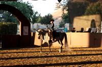 Class 165 - Arabian Western Pl/AATR Choice/Elite