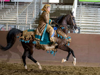 Native Costume/Side Saddle