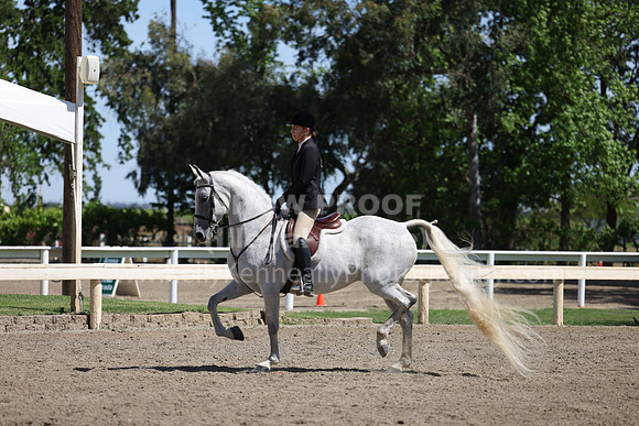 DAHA22_Thurs_0828