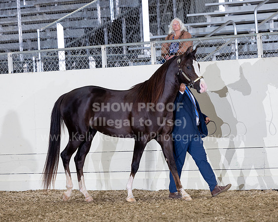 AHANC22_R5_Wed_0387