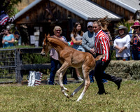 ShermanRanch0524_3598
