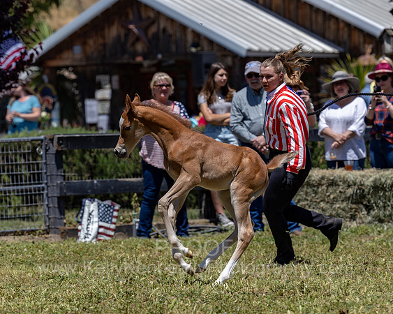 ShermanRanch0524_3598