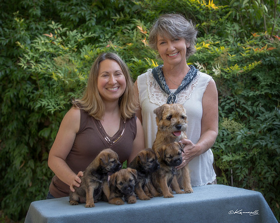 BartlettLitter17_748