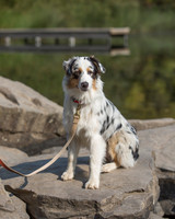 Shasta0817_0077
