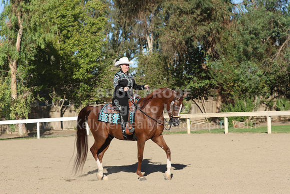 DAHA_FF22_3569