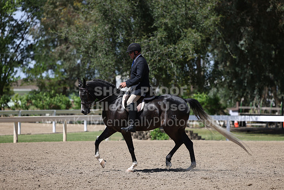 DAHA22_Thurs_1398