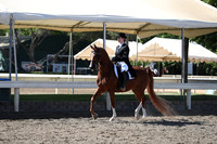 DAHA_Spring21_Thurs_0086