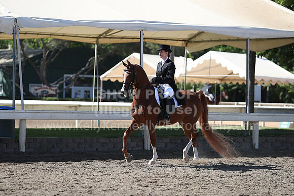 DAHA_Spring21_Thurs_0086