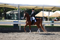 DAHA_Spring21_Thurs_0087