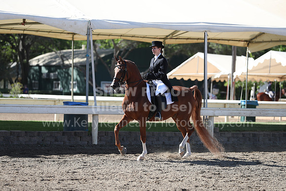DAHA_Spring21_Thurs_0087