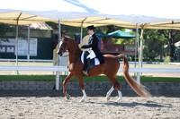 DAHA_Spring21_Thurs_0088