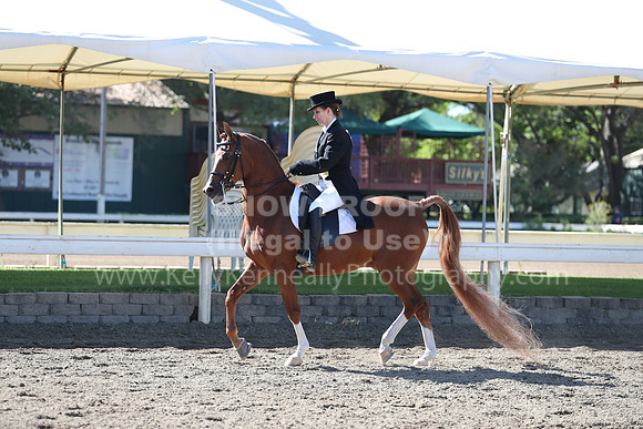 DAHA_Spring21_Thurs_0088