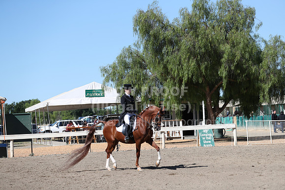 DAHA_Spring21_Thurs_0090