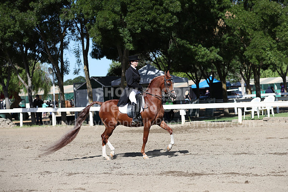DAHA_Spring21_Thurs_0092