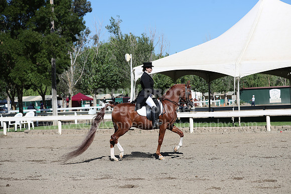 DAHA_Spring21_Thurs_0094