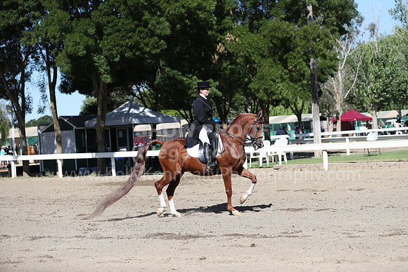 DAHA_Spring21_Thurs_0093