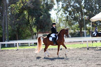 DAHA_Spring21_Thurs_0096