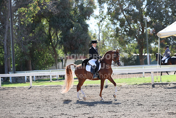 DAHA_Spring21_Thurs_0096