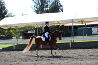 DAHA_Spring21_Thurs_0098