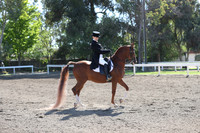 DAHA_Spring21_Thurs_0101