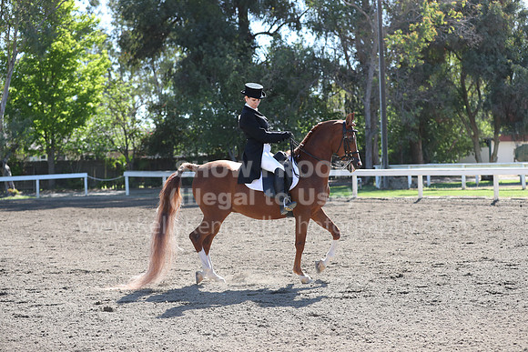 DAHA_Spring21_Thurs_0101