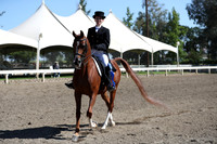 DAHA_Spring21_Thurs_0112