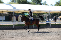 DAHA_Spring21_Thurs_0136