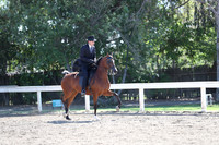 DAHA_Spring21_Thurs_0193