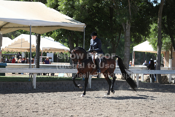 DAHA_Spring21_Thurs_0166