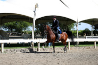 DAHA_Spring21_Thurs_0201