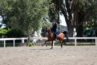 DAHA_Spring21_Thurs_0196