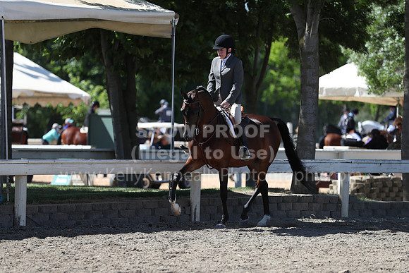 DAHA_Spring21_Thurs_0208