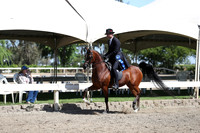 DAHA_Spring21_Thurs_0202