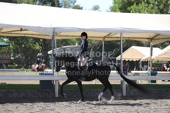 DAHA_Spring21_Thurs_0171