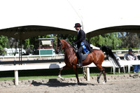 DAHA_Spring21_Thurs_0203
