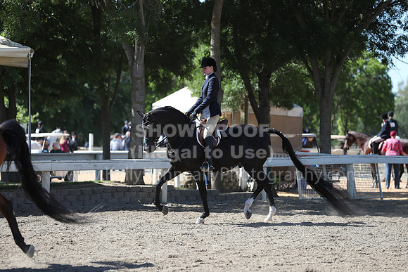 DAHA_Spring21_Thurs_0170