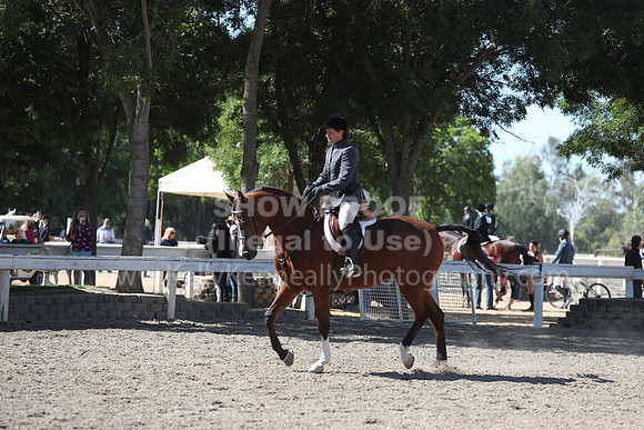 DAHA_Spring21_Thurs_0169