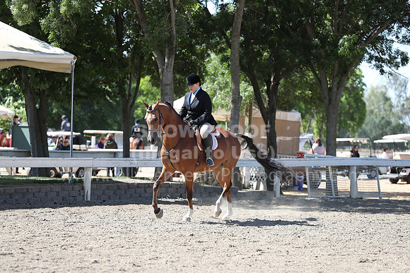 DAHA_Spring21_Thurs_0213