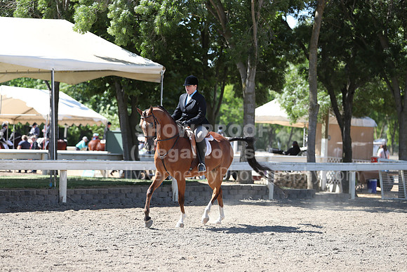 DAHA_Spring21_Thurs_0214